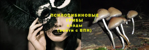 а пвп мука Верея