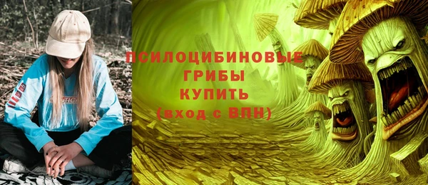 а пвп мука Верея